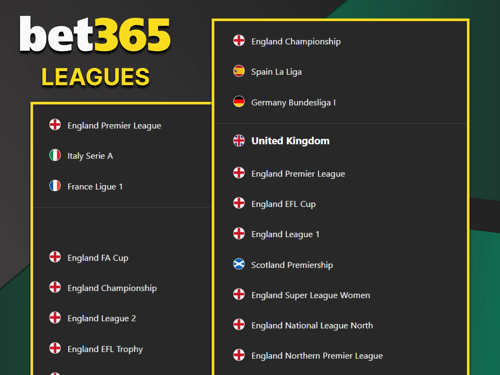 You will find the best Football leagues on Bet365.