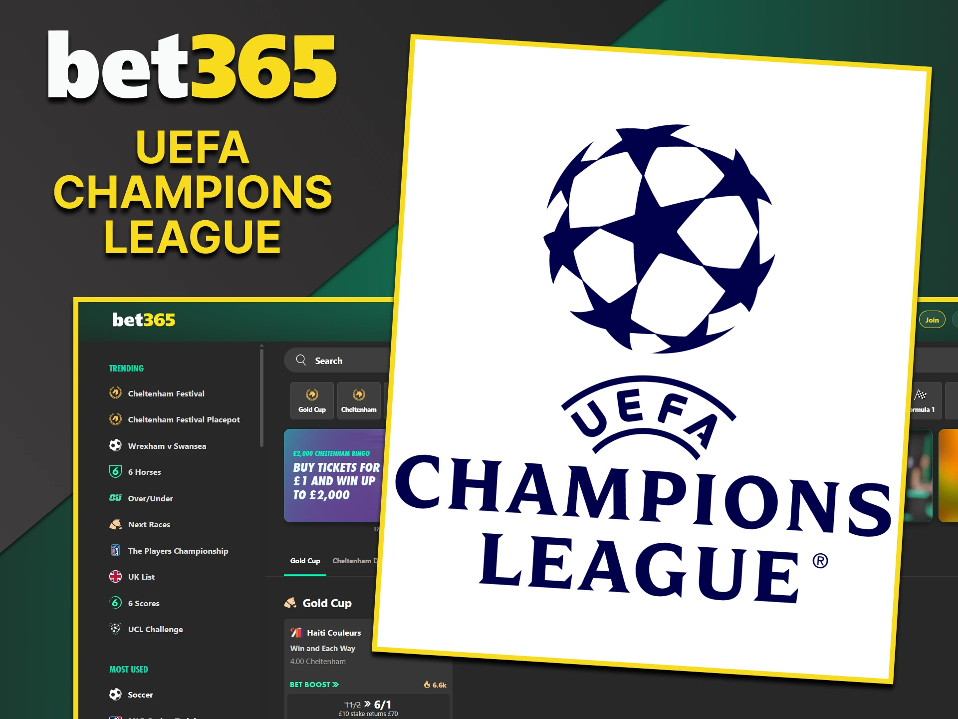 The UEFA Champions League is a direct betting platform on the Bet365 website.
