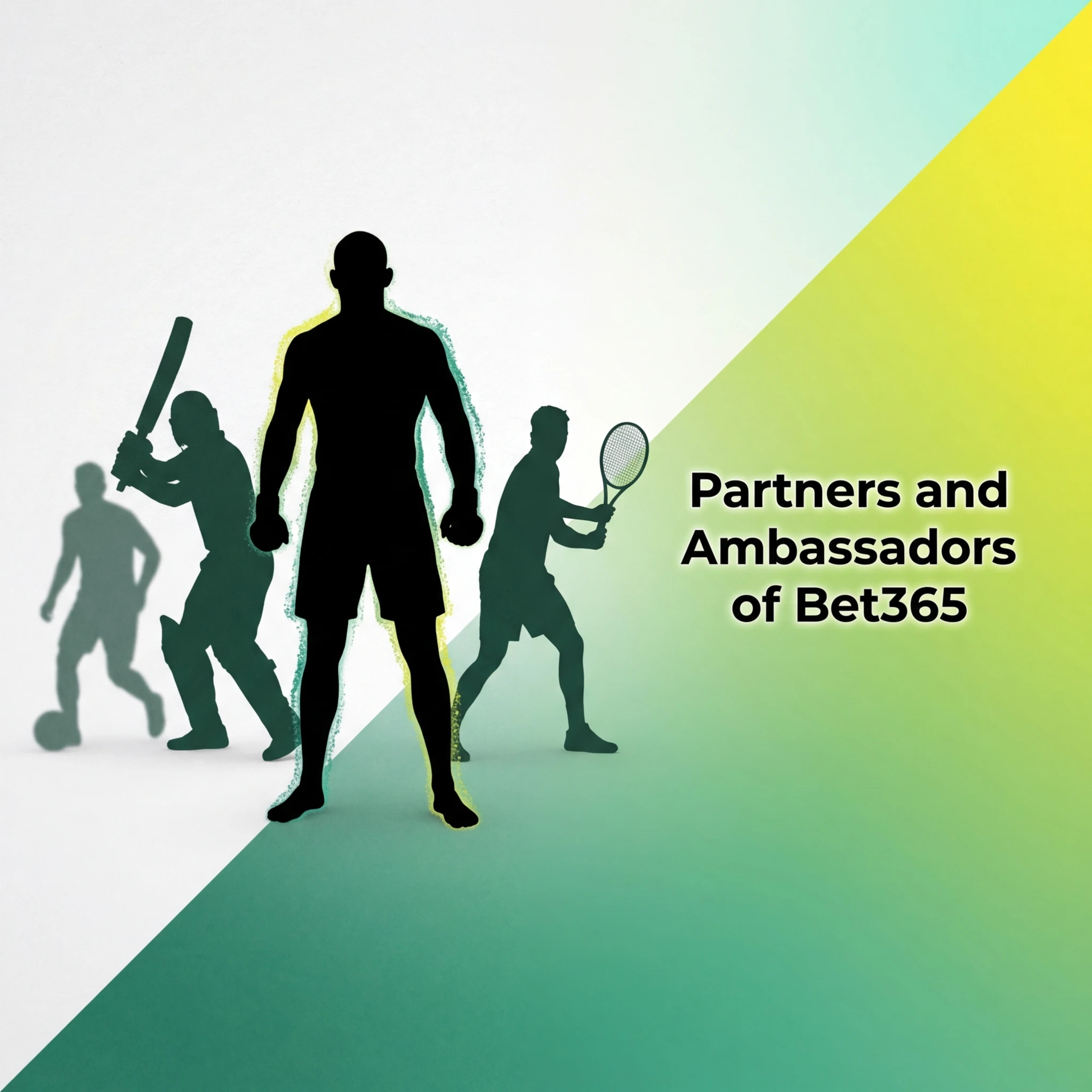 Bet365 partners including Stoke City FC sponsorship, cricket tournaments, and international football partnerships in India